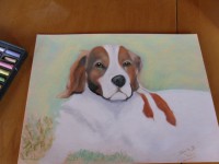 /album/galerie-photos/photo-943-jpg/